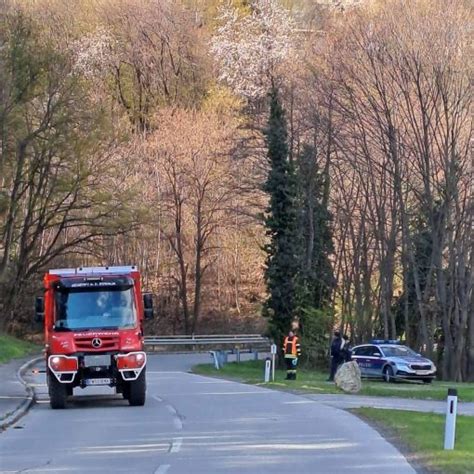 Nachwuchs Bei Der Feuerwehr Neustift An Der Rosalia Ff Neustift A D