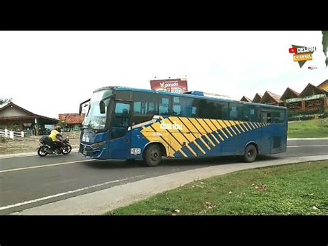 Hunting Legenda Jalur Selatan Bus Doa Ibu D105 Penampilan Kumel Tapi