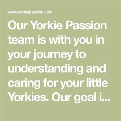 Our Yorkie Passion Team Is With You In Your Journey To Understanding