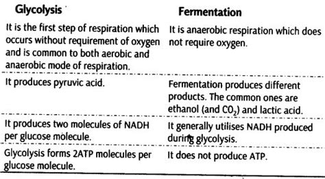 Notes Class Biology Chapter Respiration In Plants