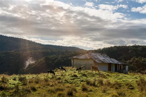 San Pedro De Los Milagros Antioquia Es M Gica