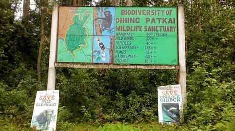 Dehing Patkai Wildlife Sanctuary (Tinsukia) - 2021 What to Know Before ...