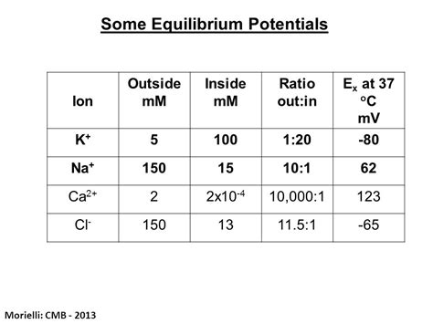 How To Calculate Equilibrium Potential For Calcium - slidesharetrick