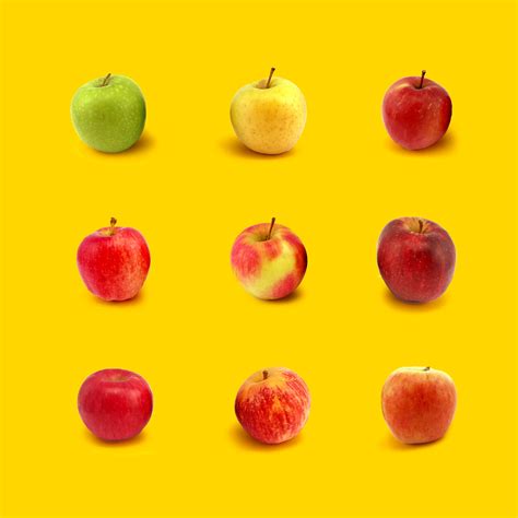 9 Favourite Australian Grown Apples Absolute Organic