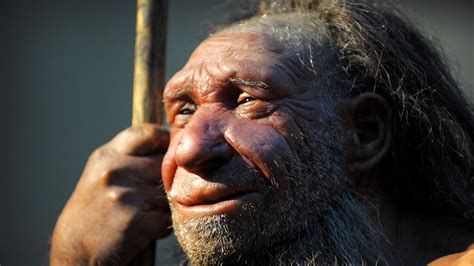 Neanderthal DNA could be the reason you're a morning person | UK News ...