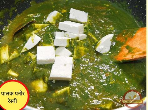 Palak Paneer Recipes In Hindi Dandk Organizer