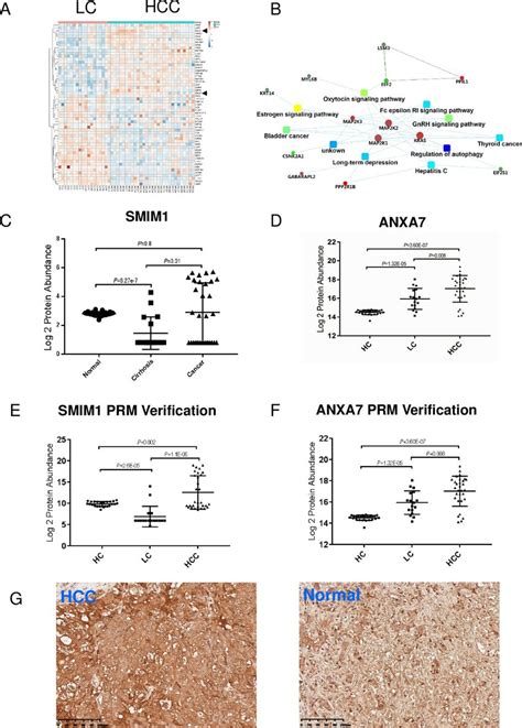 Alterations In Rbcs And Potential Biomarker Identification During