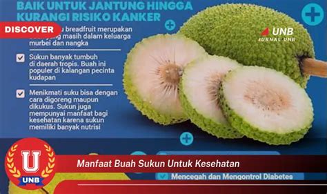 Intip Manfaat Buah Sukun Untuk Kesehatan Yang Bikin Kamu Penasaran