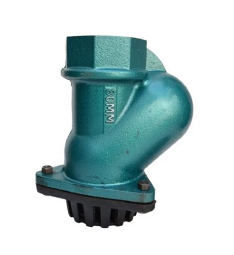 Grey Cast Iron Ci Ball Type Foot Valve At Rs 360 Piece In Rajkot ID