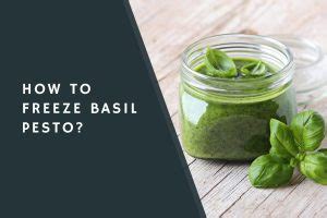 How To Freeze Basil Pesto Condimentbucket