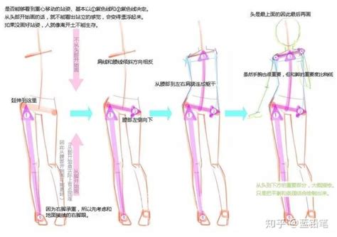 看完这篇，还怕不会画人体吗！超全面的人体姿势画法一览！（附100高清大图下载） 知乎