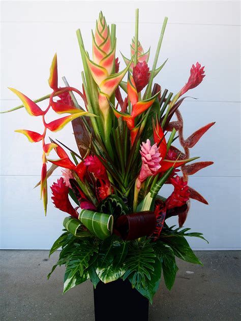 Fresh Cut Tropical Flowers Exotica Tropicals Tropical Plants