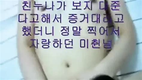 Free Korean Bj Porn Videos XHamster