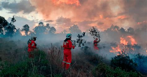 Incendios Forestales Declaran En Emergencia Solo A Tres Regiones Del