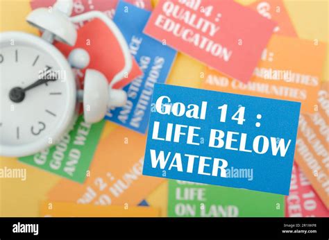 Goal 14 Life Below Water The Sdgs 17 Development Goals Environment Environment Development