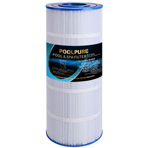 Recommended 15 Best Swimming Pool Filters in the World