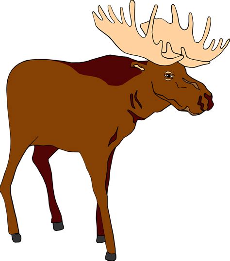 Free Moose Cliparts Cartoon Download Free Moose Cliparts Cartoon Png