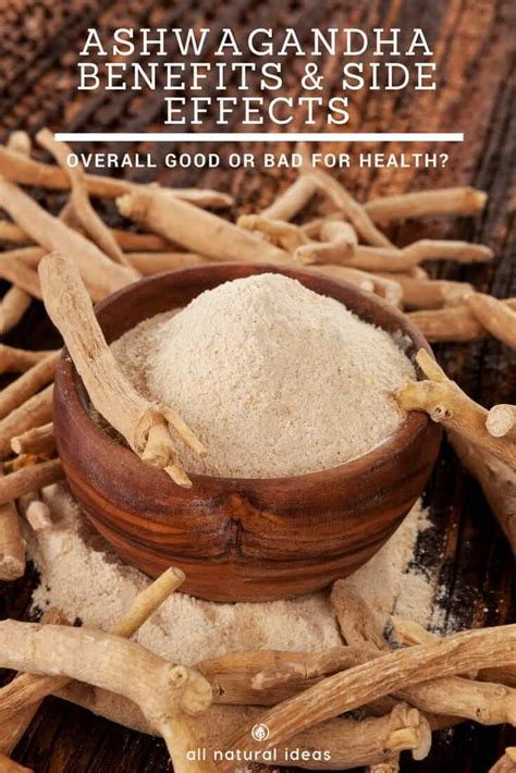 Ashwagandha Benefits And Side Effects Good For Health Ashwagandha