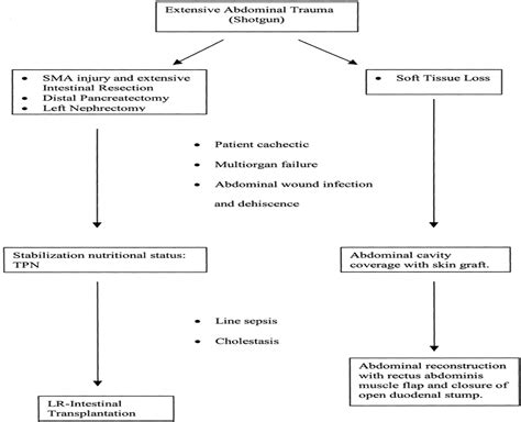 Small Bowel Transplantation and Staged Abdominal Wall Recons ...