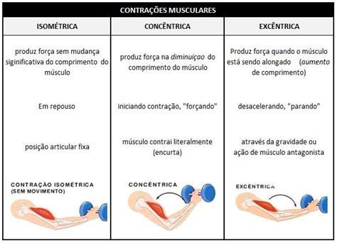 Les Es Musculares As Les O Mais Comuns Na Pr Tica Esportiva Parte