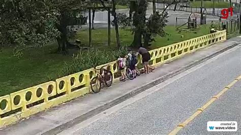 Cachorro Jogado De Ponte Pela Pr Pria Tutora Caiu De Aproximadamente