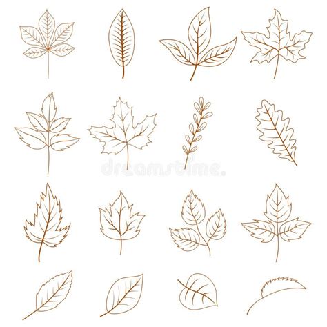 Autumn Leaves Doodles Set Stock Vector Illustration Of Leaf 128662674