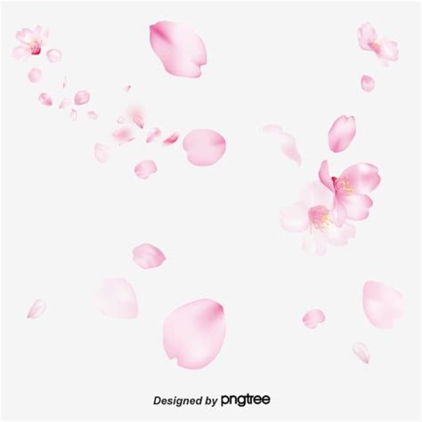 Pétalos De Rosa PNG dibujos Pink Petal Float PNG y Vector para