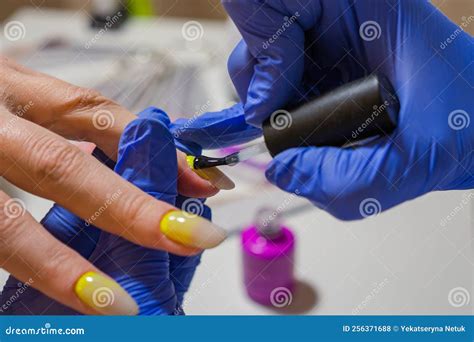 Manicure Master Paints The Clients Nails With Gel Polish In A Beauty