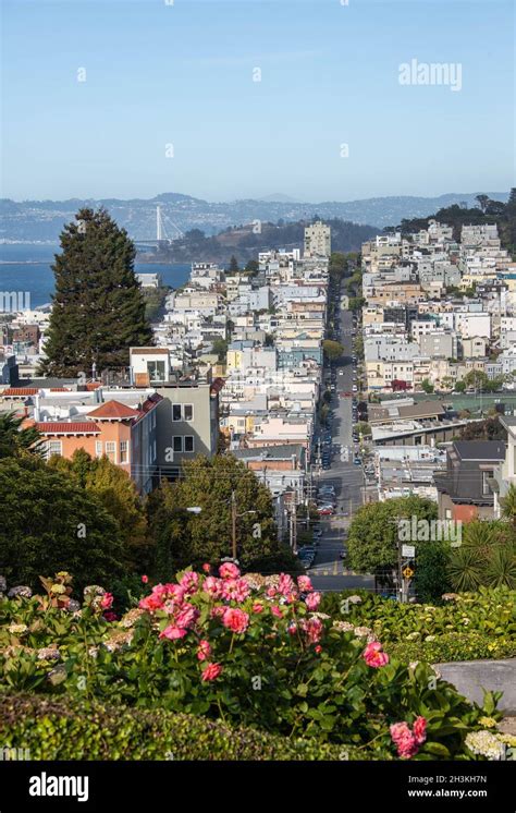 San Francisco Steepest Street Fotos Und Bildmaterial In Hoher