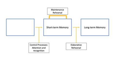 Chapter 6 Flashcards | Quizlet 