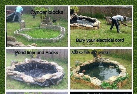 Building a koi pond Create a Tranquil Oasis: The Ultimate Guide to ...