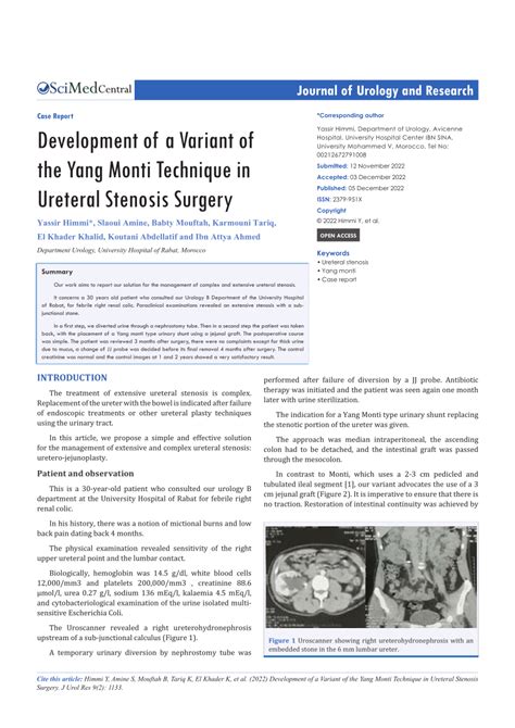 Pdf Development Of A Variant Of The Yang Monti Technique In Ureteral