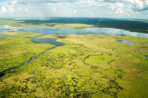 C Lculo Temeridad Restricciones Esteros Del Ibera Reserva De Agua Dulce