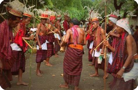 ikatan keluarga flobamora gelar pesta budaya lamaholot papuaus