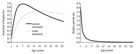 The Curves Of Current Annual Increment And Mean Annual Increment Of