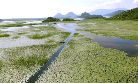 National park Skadar lake | Boat trips | Montenegro