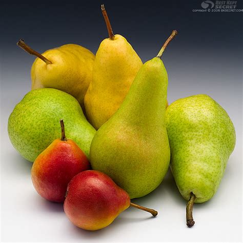 Colorful Pears Another Grouping Bartlett Ripe And Not C Flickr