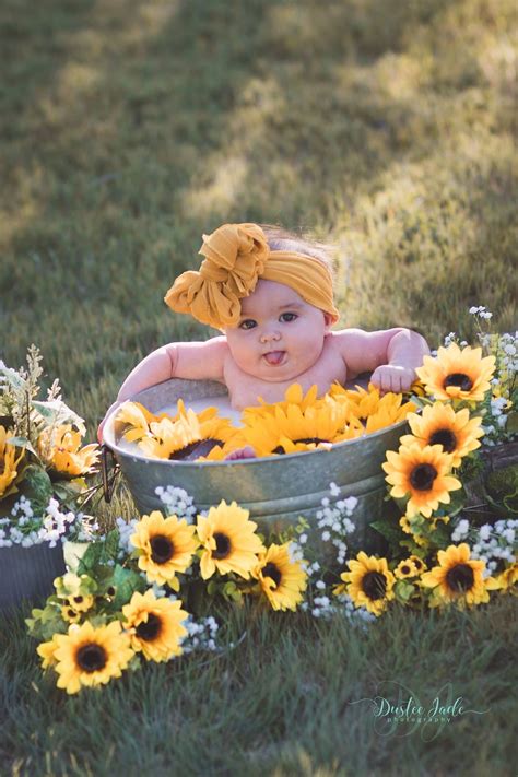 sunflower milestone pictures sunflower  year  pictures