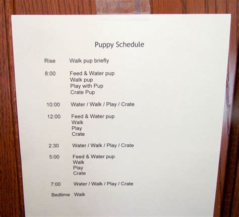 Puppy Crate Training Schedule Printed Out The In Bold Print And Posted