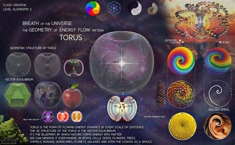 Torus In The Fractal Universe 2 Sacred Geometry Geometry Geometry