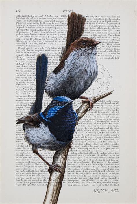 Energetic Avians Peer From Vintage Book Pages In Detailed Paintings By