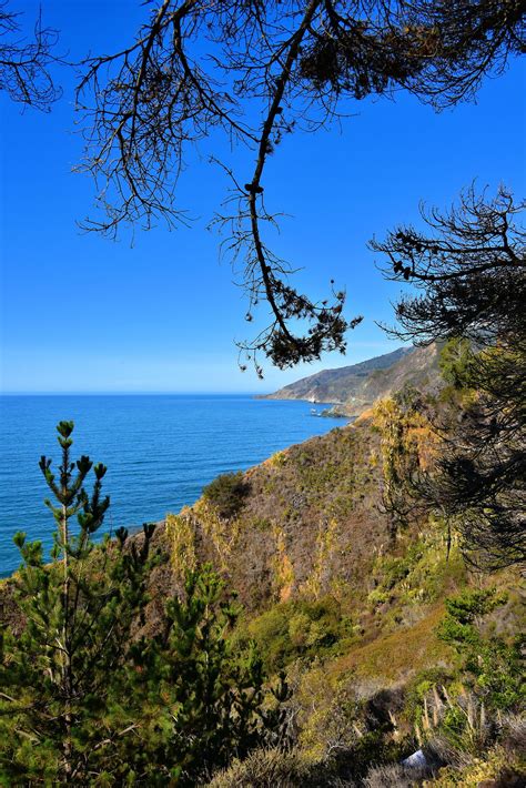 Los Padres National Forest Along Big Sur Coast California Encircle Photos