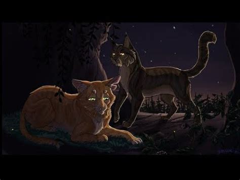 Огнезвезд и Ежевика эдит - YouTube