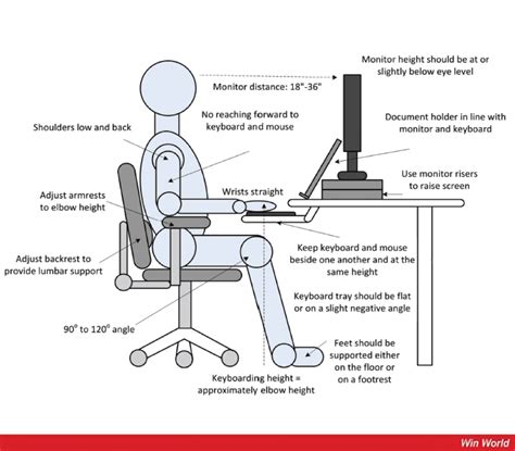 The Importance Of Office Chairs In Workplace Ergonomics Winworld