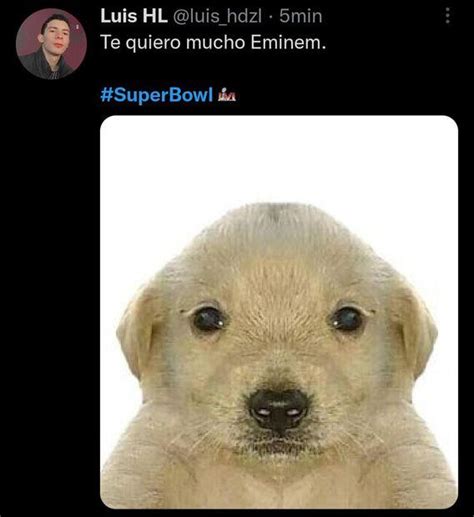 Los Mejores Memes Del Show De Medio Tiempo Del Super Bowl