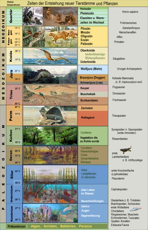 evolution anthrowiki