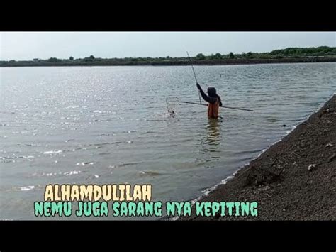 PEMANCING KEPITING DAN PEMBURU KEPITINB DI TAMBAK YANG KERING YouTube