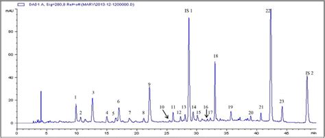 HPLC DAD Chromatogram Of Phenolic Acids And Flavonoids Extracted From