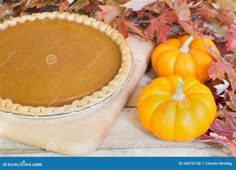 Pumpkin Pie and Pumpkins stock photo. Image of seasonal - 60878728