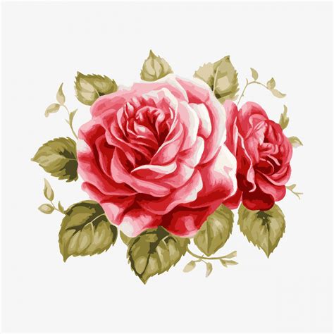 Vintage Roses Watercolor Clipart Free Stock Photo Public Domain Pictures